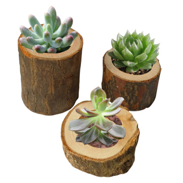 Wooden Crafts Decoration Bark Stump Candle Holder Small Flower Pot Home Decoration