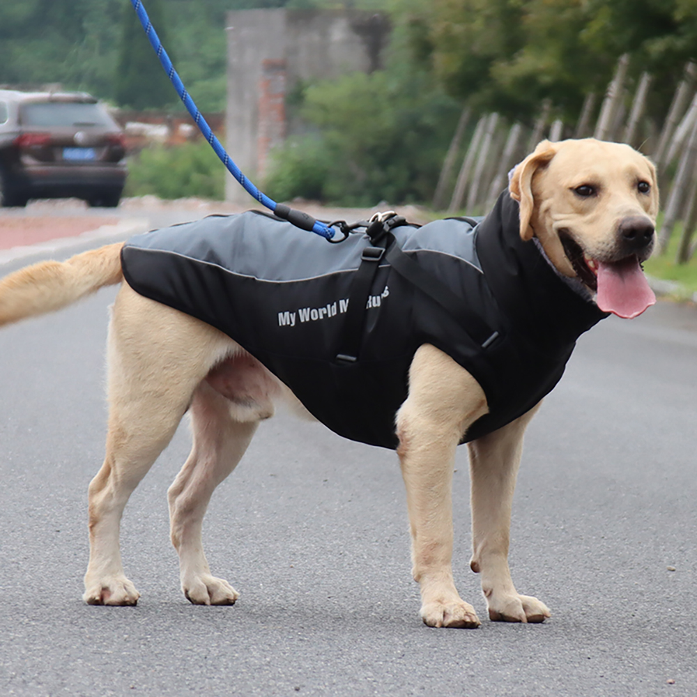 Pet Clothing For Large Dogs