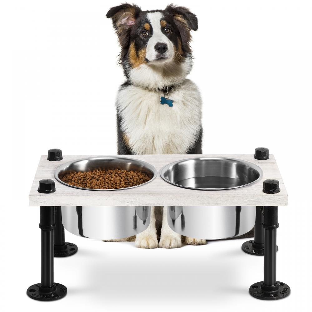Raised Dog Bowl with Two Stainless Steel Bowls