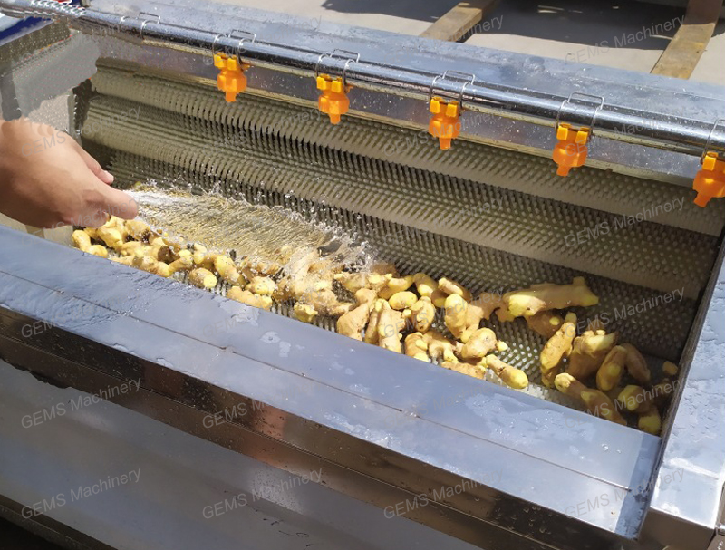 ginger washing