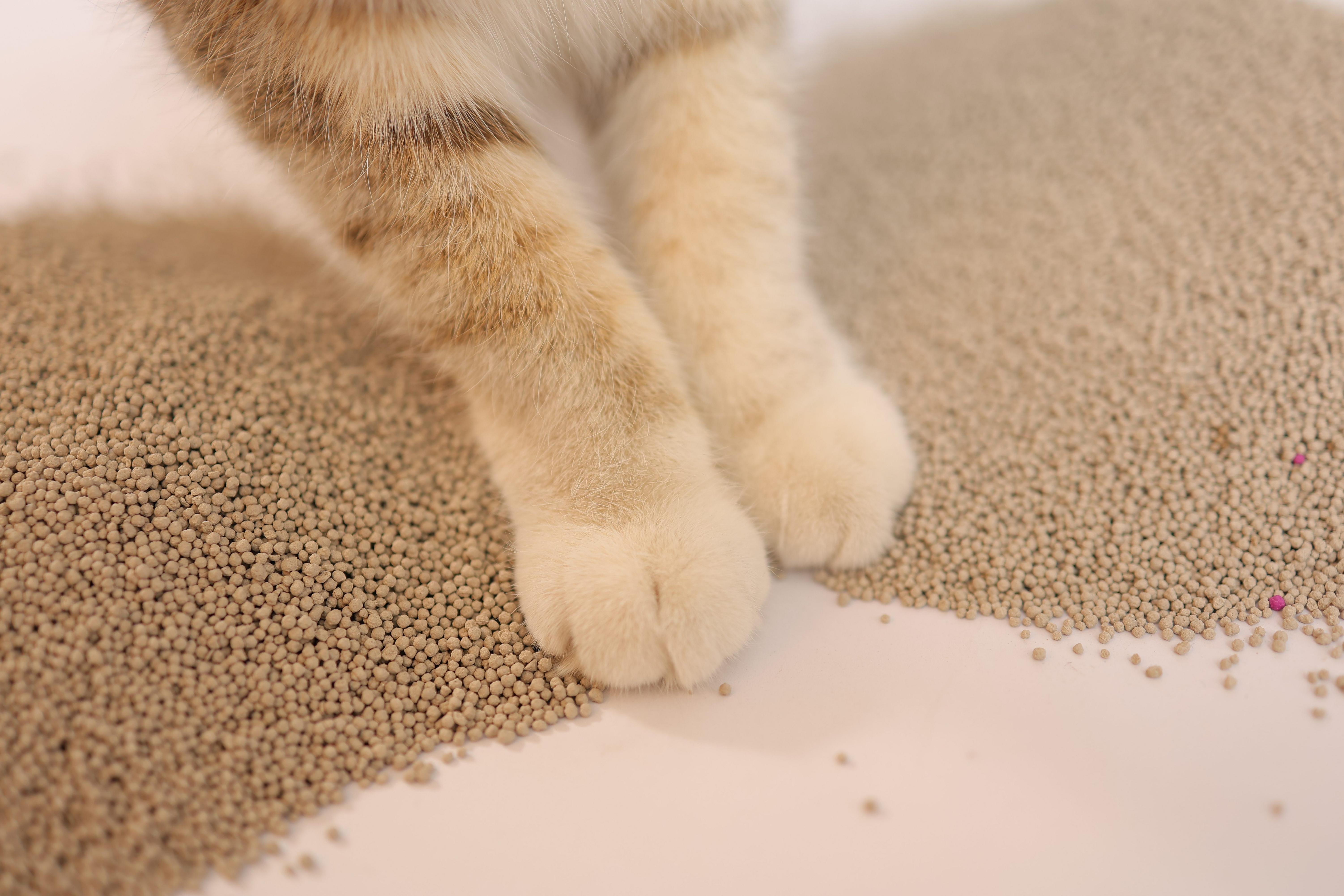 Mixed Activated Carbon And Bentonite Cat Litter