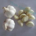 Normal White Pure White Garlics of 2018 Crops