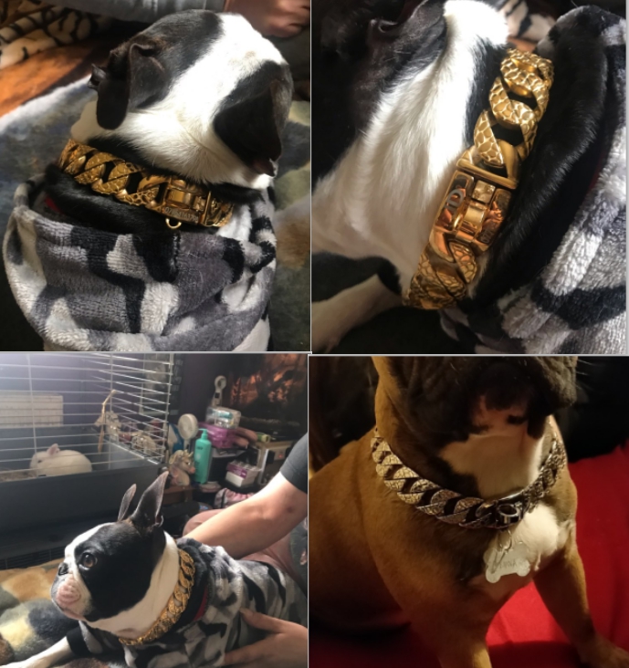 PMGPET Stainless Steel Dog Collar Large Dog Chain Trainning Pet Collar Leash 23mm/32mm Free Engrave Pitbull Bulldog Dropshipping