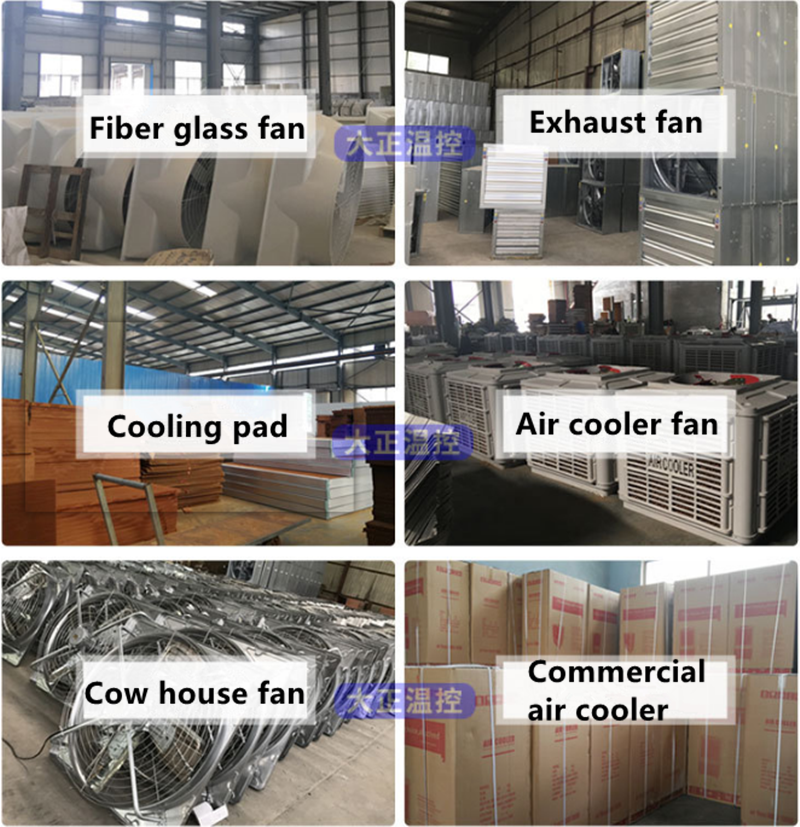Exhaust Fan