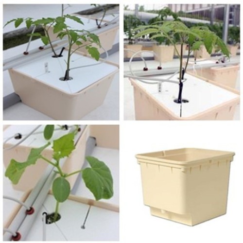 Tomatoes Garden Dutch Buckets Growing Hydroponic Manufacturers and Tomatoes Garden Dutch Buckets Growing Hydroponic Suppliers