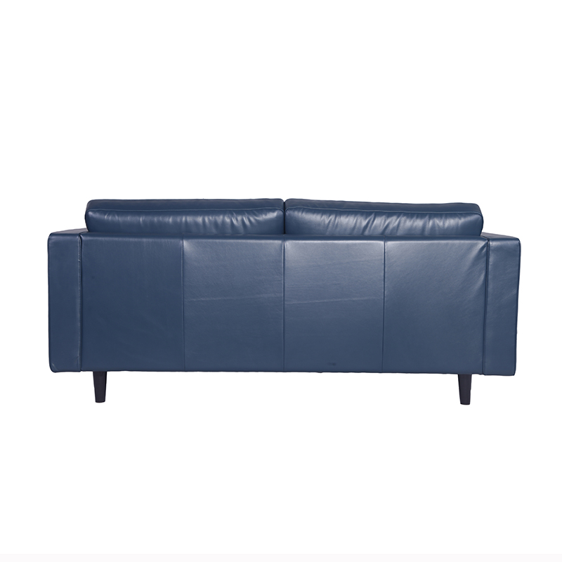 Leather Sofa 5
