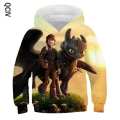 Autumn Cartoon How to Train Your Dragon Boys/girl Sweatshirts Kids Hoodies 3D Printed Children Long Sleeve Pullover