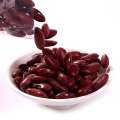 Red Kidney Beans British red kidney baens