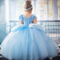 4 7 8 9 10 Years Girls Dress Children Role-Play Costume Princess Girls Ball Gown Party Christmas Dress Cosplay Dresses