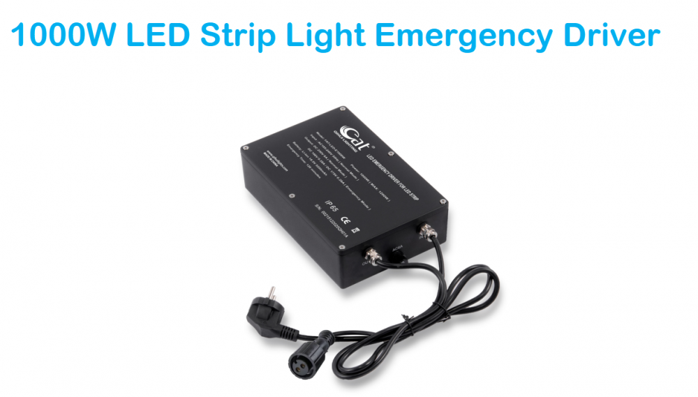 1000W Battery Emergency Driver For LED Strip Light