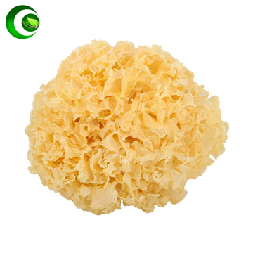 Tremella Dried Mushrooms A Kind of Semi-transparent Snow White Fungus,Silver Ear Snow Fungus,Tremella Fuciformis,white Fungus