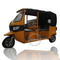 Factory Price Adult Electric Tricycle Passenger Vehicle Tuk Tuk Car 3 Wheels Mobility Scooter Rickshaw for Sale