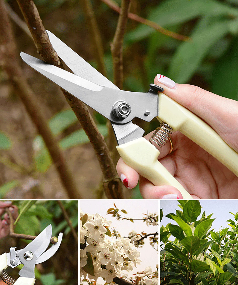 Drtools 17cm Pruner Tree Cutter Gardening Pruning Shear Scissor Stainless Steel Cutting Tools Set Home Tools Anti-slip