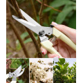 Drtools 17cm Pruner Tree Cutter Gardening Pruning Shear Scissor Stainless Steel Cutting Tools Set Home Tools Anti-slip
