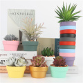 Mini Colorful Pottery Low Round Flower Pot Terracotta Plant Pot Hole Pottery Clay Planters For Cacti And Succulent Plants