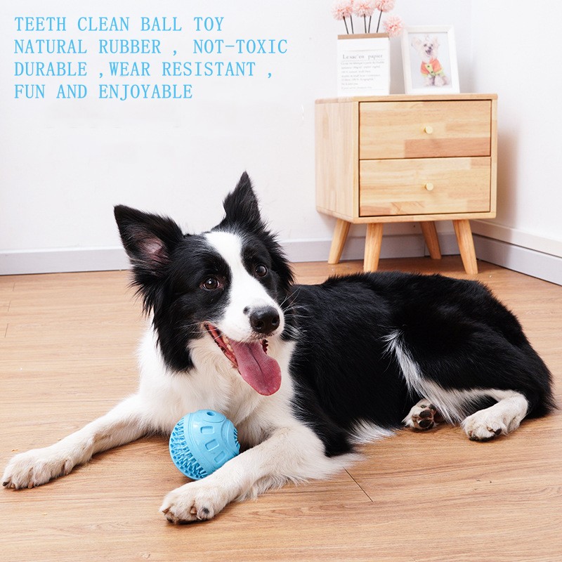 Interactive Sound Ball Dog Chew Ball Toy 