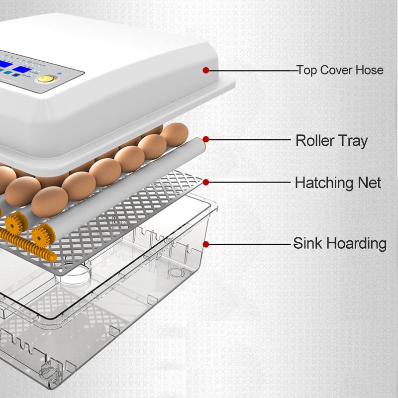 220V/12V Eggs Incubator Brooder Bird Quail Chick Hatchery Incubator Poultry Hatcher Turner Automatic Farm Incubation Tools