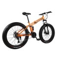 Hot Sale 7/21/24/27/30 Speed Snow Bike 24inch/26-inch 4.0 Fat Bicycle Mechanical disc brake Outdoor competition Mountain Bike