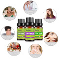 KINUO 10ML Rosemary Essential Oils for Aromatherapy Diffusers Lavender Tea tree Lemongrass Orange Rosemary Oil Home Air Care