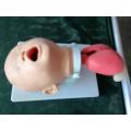 Child Endotracheal Intubation Model