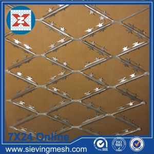 Expanded Metal Mesh with Barb