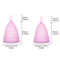 2PCS Menstrual Cup Copita Copa Menstrual Medical Silicone Feminine Hygiene Period Silicone Cup Lady Women Cup Menstrual Colletor