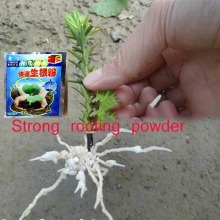 2pcs Flower Strong rooting powder growing roots seedling strong recovery root vigor germination aid fertilizer Garden medicine
