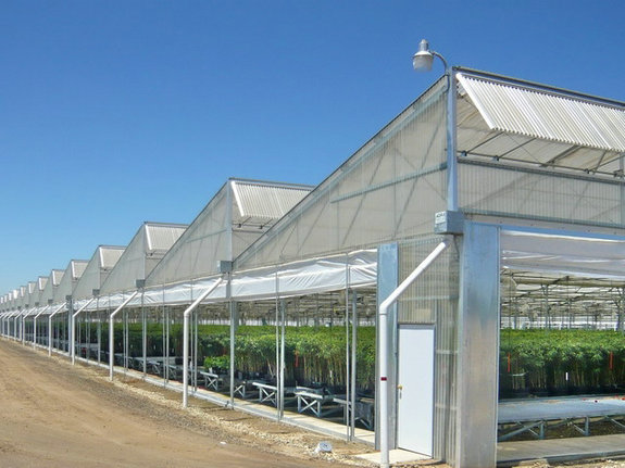 Steel structure agriculture building