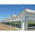 https://www.bossgoo.com/product-detail/prefab-economic-steel-metal-frame-greenhouse-63467775.html