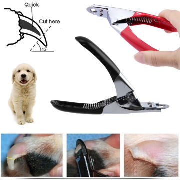 Stainless Steel Dog Pet Grooming Nail Trimmer Scissors Claw Nail Clippers for Dog Cat Birds Animal Nail Scissor Dog Supplies CA