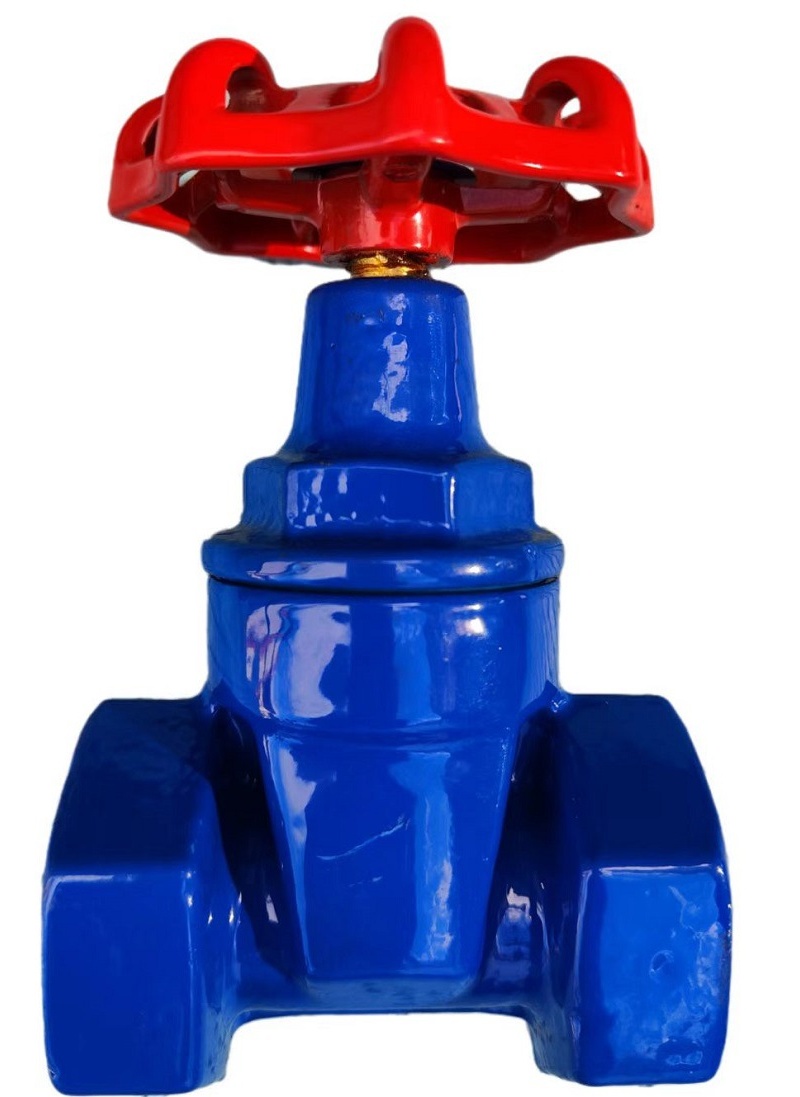 Ductile iron gate valve (6)