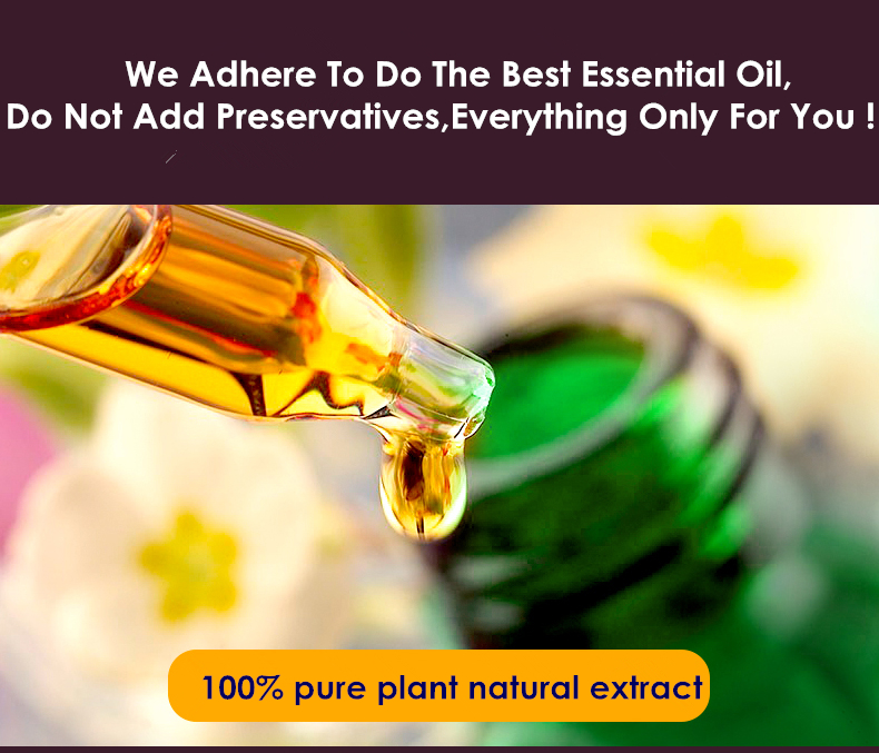 Dimollaure Cinnamon essential oil 10ml skin care SPA body massage Fragrance light Aromatherapy plant essential oil