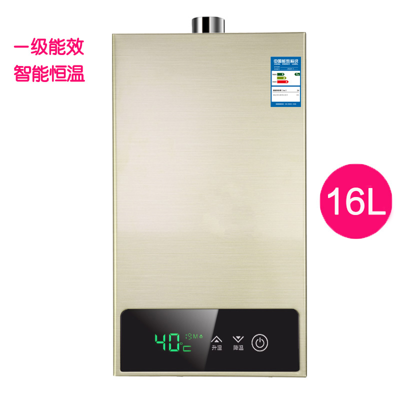 220V Fuel Gas Water Heater Strong Emission Constant Temperature 12L Balanced 16-Liter Remote Control Low Water Pressure Start