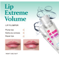 Ginger Peppermint Lip Balm Plant Lip Care Essence Enhances Plump Lips Care Easy To Wear Makeup Comestics Tools TSLM1