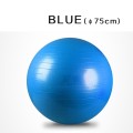 Blue 75cm