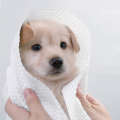 Disposable Spunlace Nonwoven Pet Grooming Bath Towel