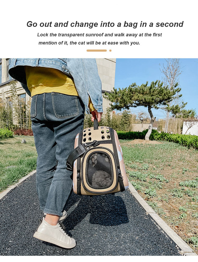 Pet Travel Carrier