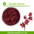 Special Custom-made Product Plant Extract Powder Formula