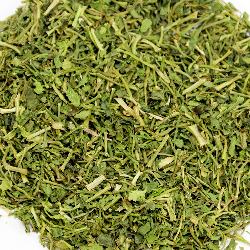 优质提取芫荽
