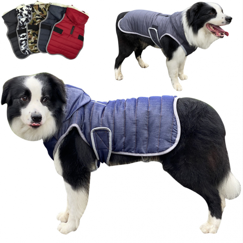 Great Pet Clothing