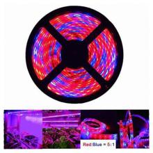 5M 12V LED Plant Grow Strip Light Full Spectrum Creative Rope Light for Vegetable Cultivation Horticulture Industrial Seedling