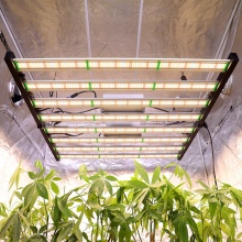 LED Grow Light 6x6 Coverage 1000W