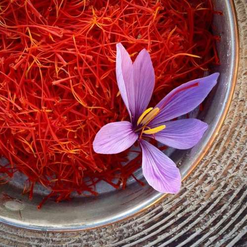 Bulk 0.3% Safranal saffron extract saffron extract powder for Sale, Offer Bulk 0.3% Safranal saffron extract saffron extract powder