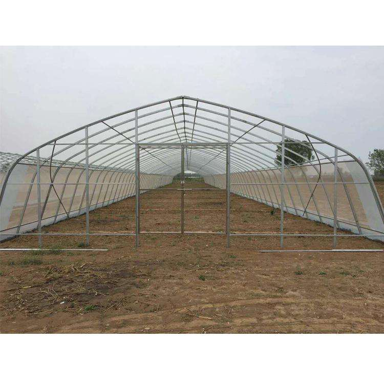 Multi Span resistance type plastic tunnel greenhouse