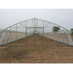 Grow Tunnel Single Span Plastic House Tunnel Greenhouse