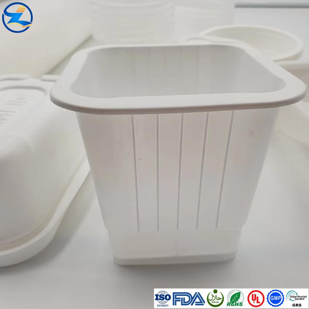 PP Food Container20.jpg