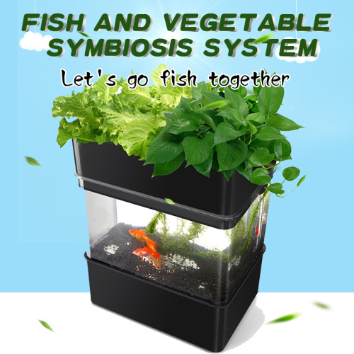 Grewenhouse hydroponic system and aquarium hydroponics Manufacturers and Grewenhouse hydroponic system and aquarium hydroponics Suppliers