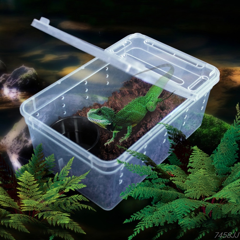 Terrarium for reptiles Transparent Plastic Box Insect Reptile Transport Breeding Live Food Feeding Box G03 Drop ship