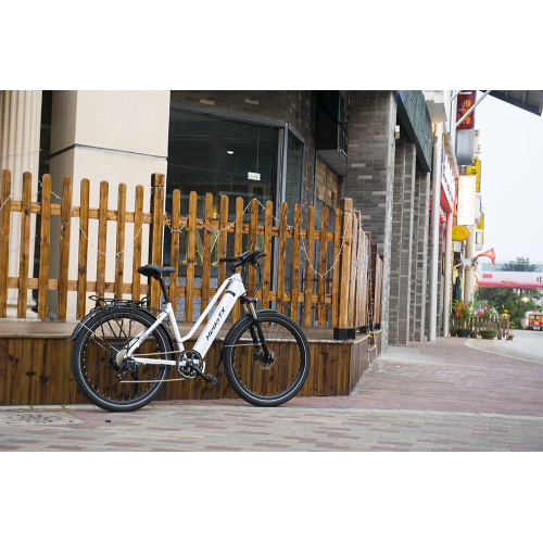 Customized 350w 500w Ebike Cycling Bicycle Manufacturer Customized 350w 500w Ebike Cycling Bicycle from China