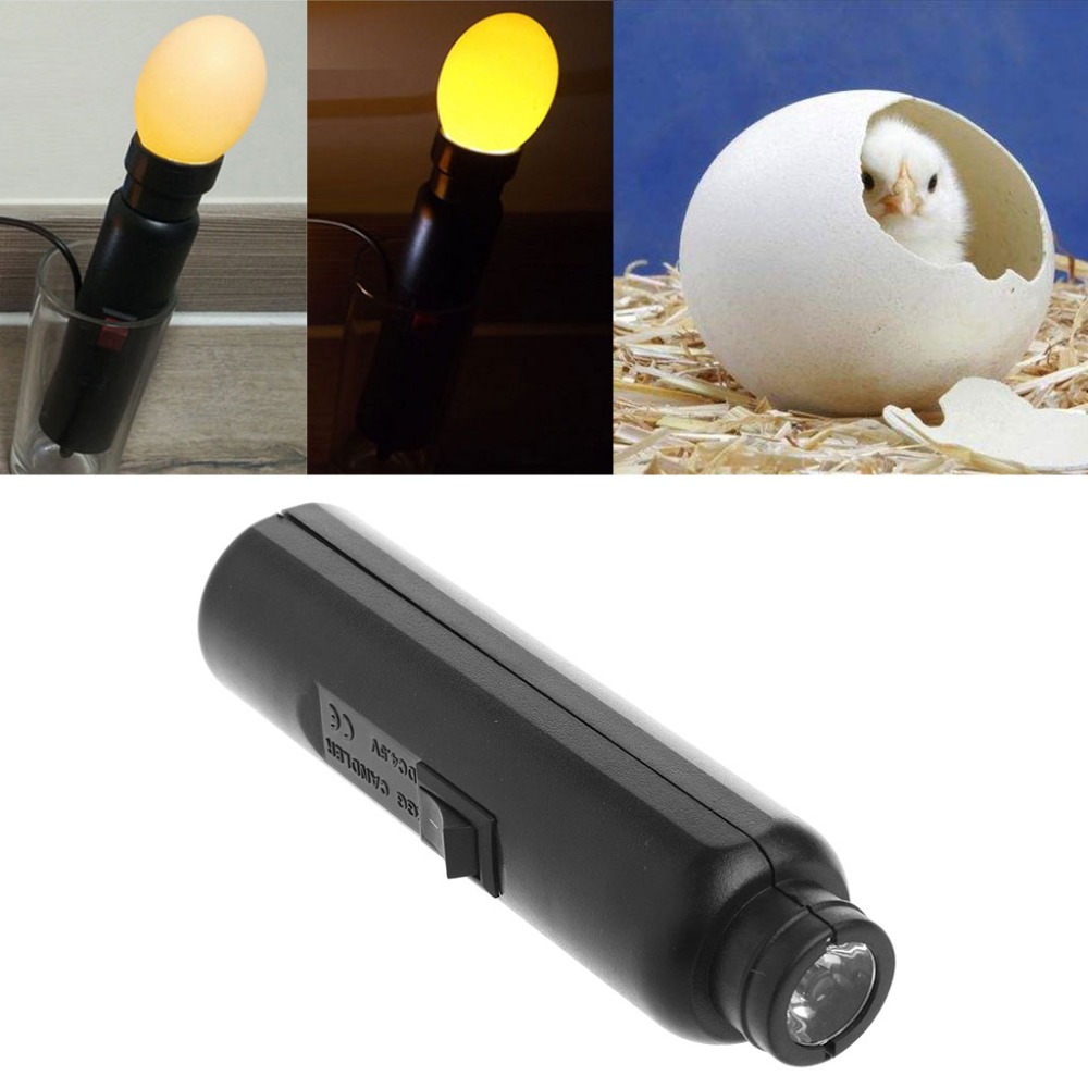 LED Light Incubator eggs Candler Tester For Hatching eggs Quail Poultry with Power Adapter